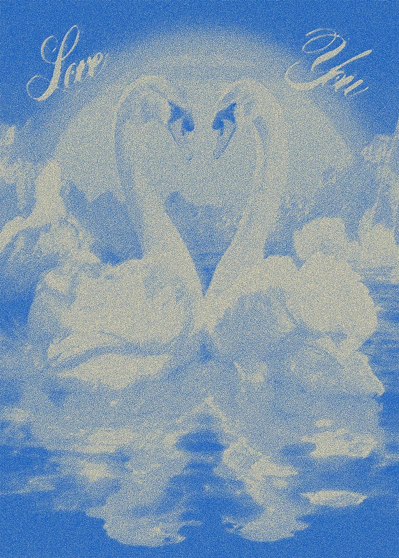 Swan Lake Love Card card