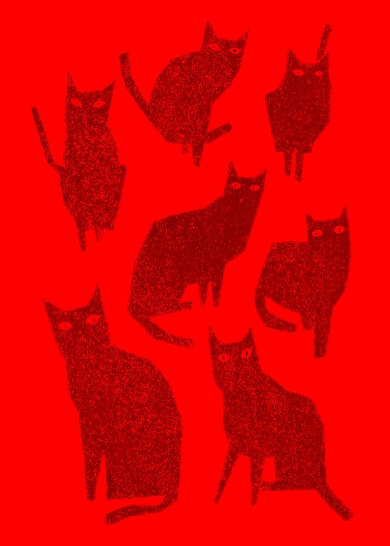 Mystical Black Cats Greetings card