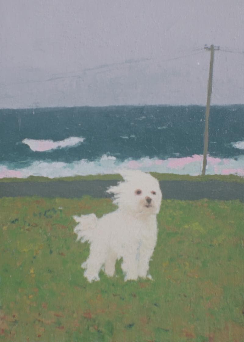 Cute Windy Day Pup card