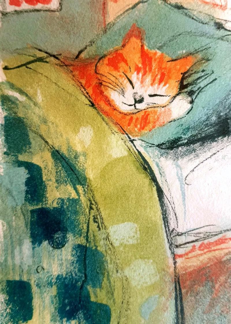 Cozy Cat Nap Greetings card