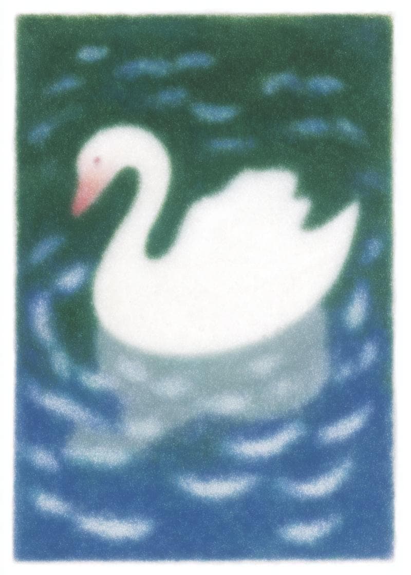 Tranquil Swan Greeting Card card