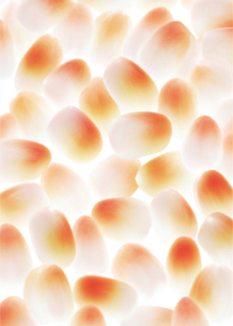 Sweet Candy Corn Delight card