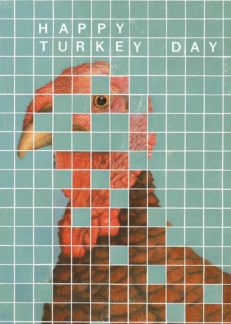 Happy Turkey Day Greetings card