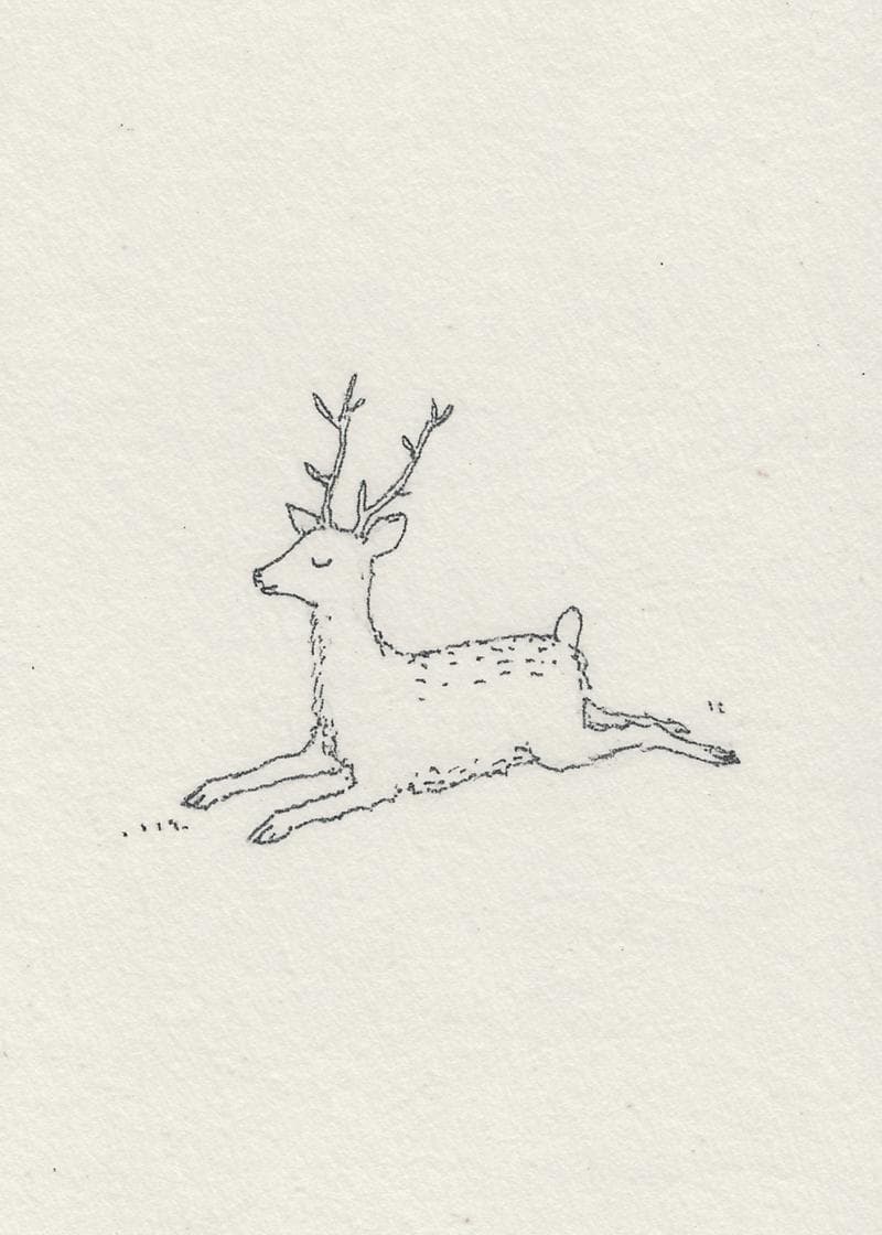 Peaceful Deer Illustration Card card