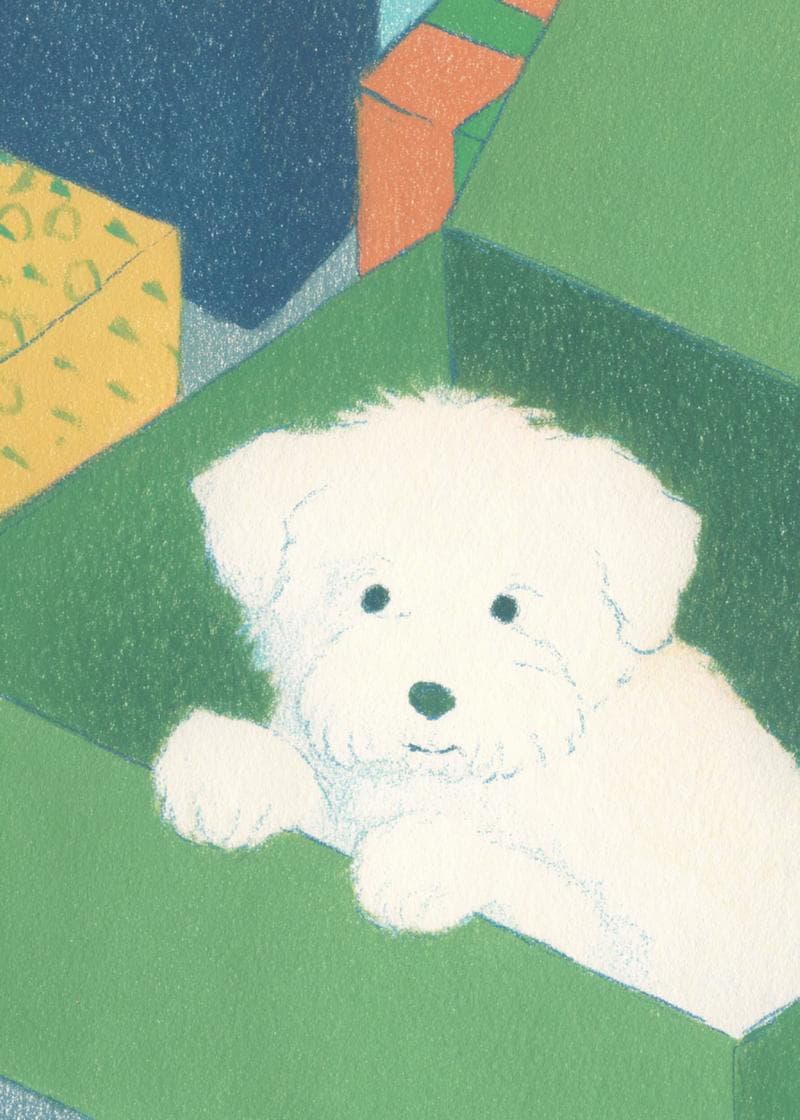 Puppy Surprise Delight card