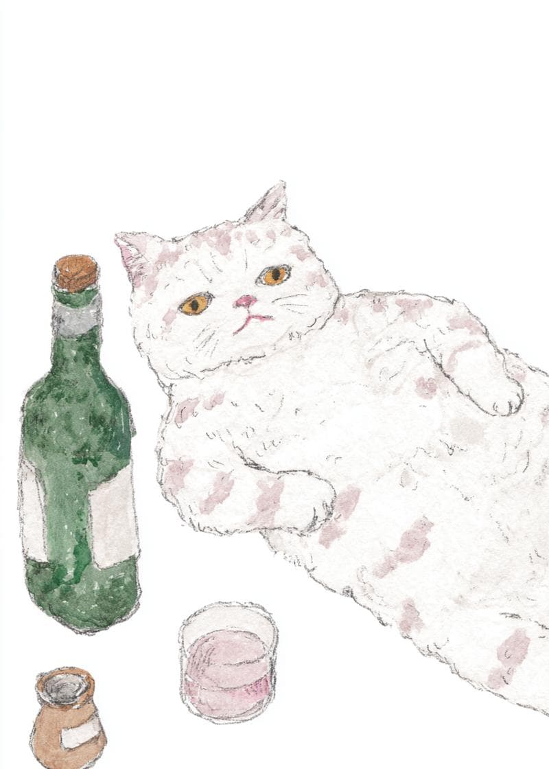 Relaxed Cat with Wine card