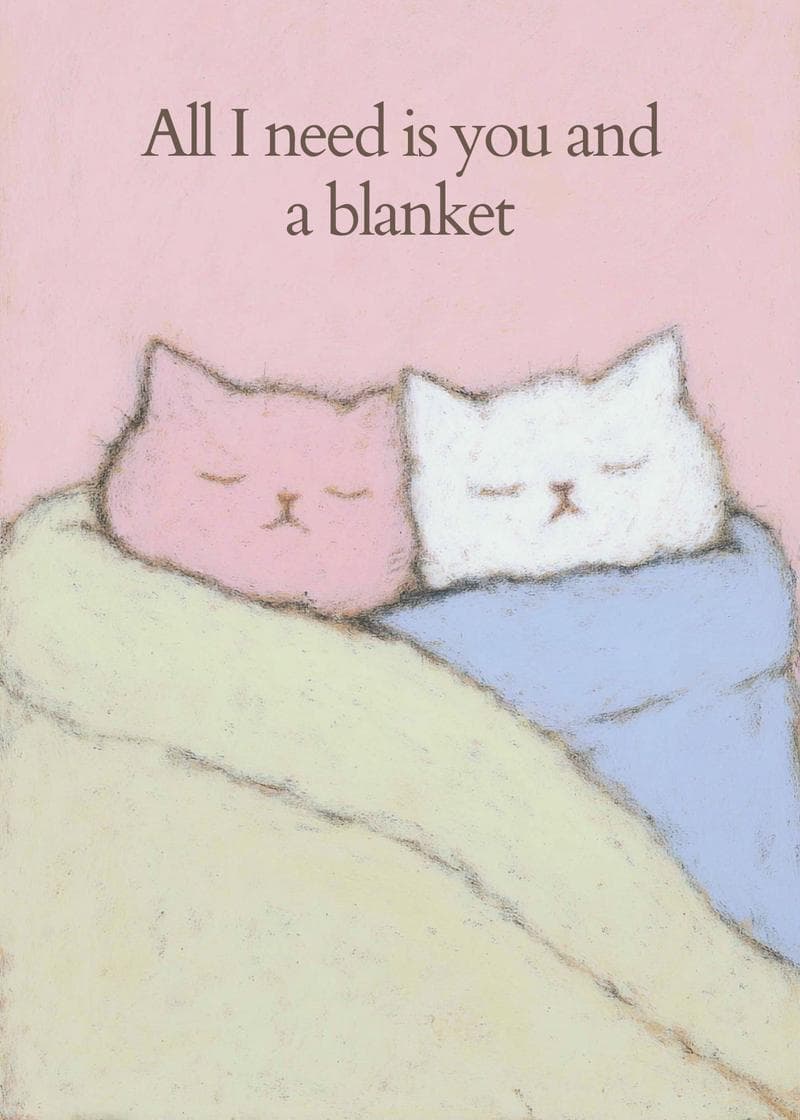 Cozy Love Cats Card card