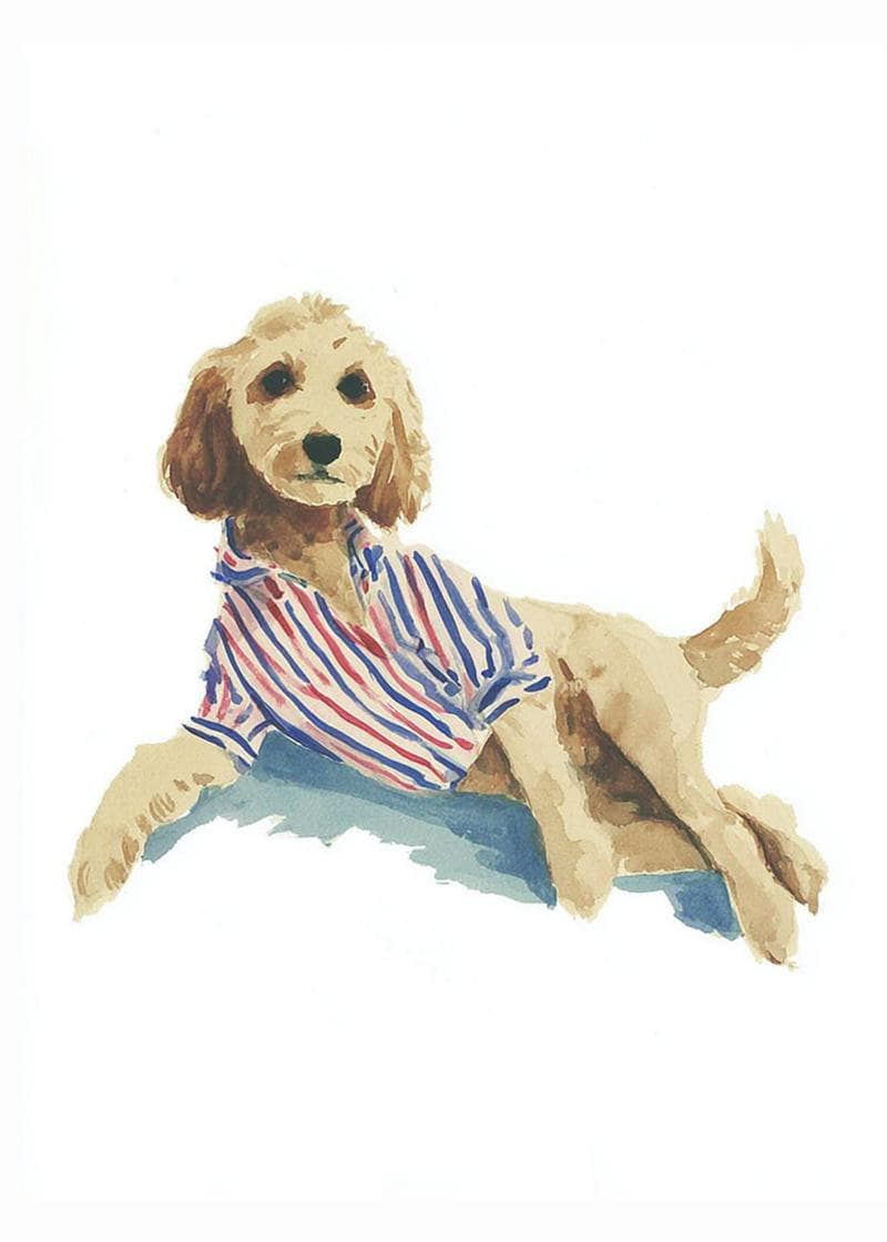 dog posing funny card