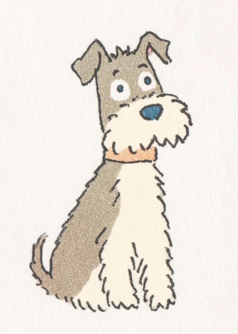 schnauzer sitting politely card