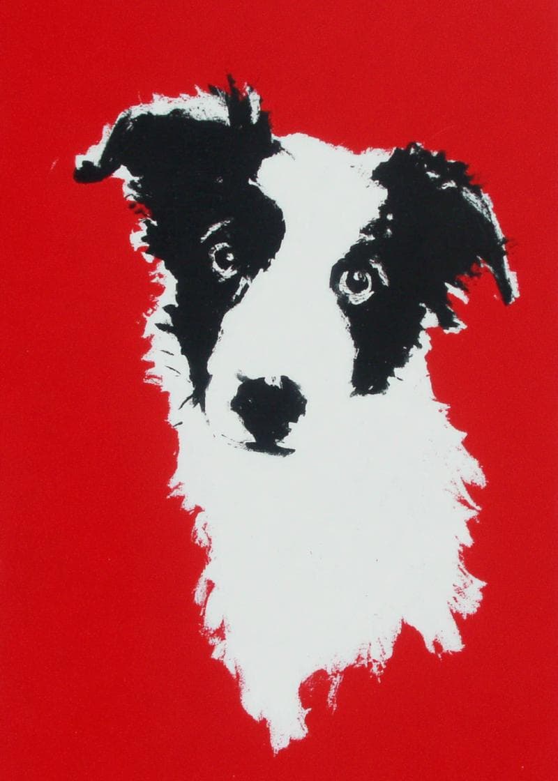 border collie illustration card