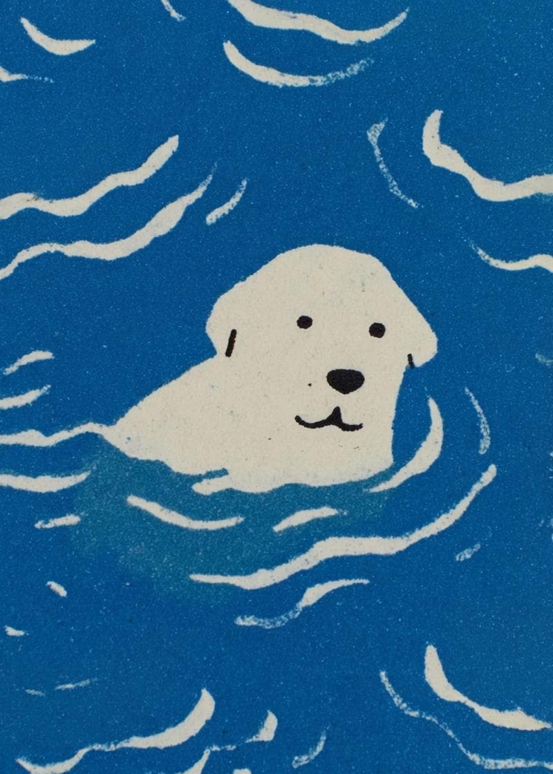 labrador in water card