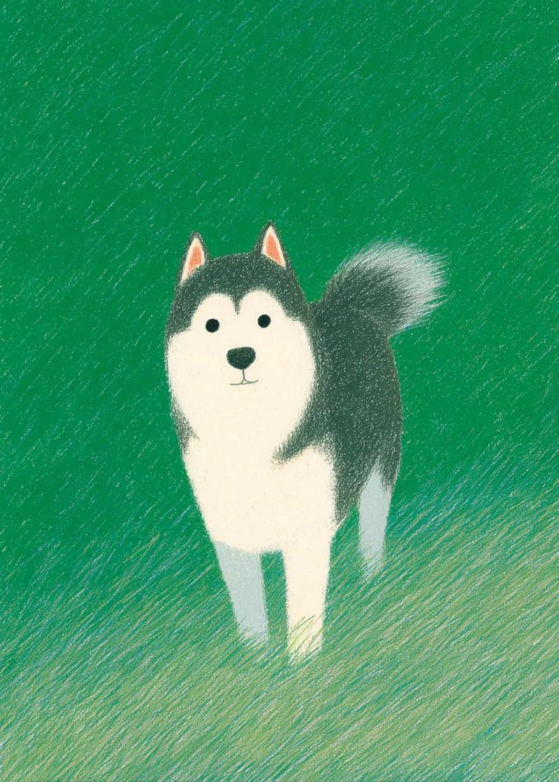 husky in grass card