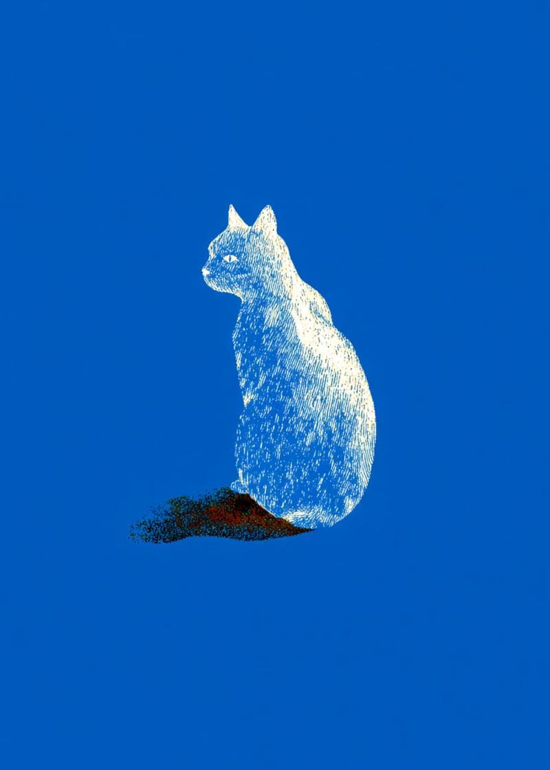 white cat sitting solemnly card