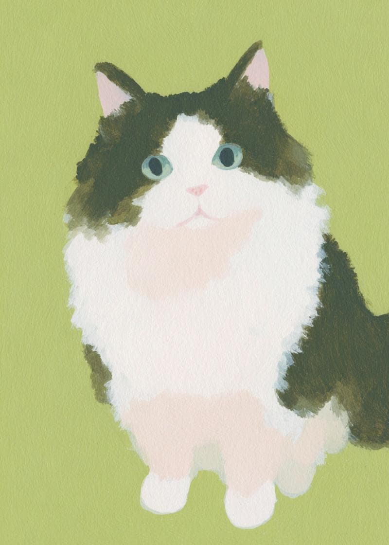 super fluffy cat card