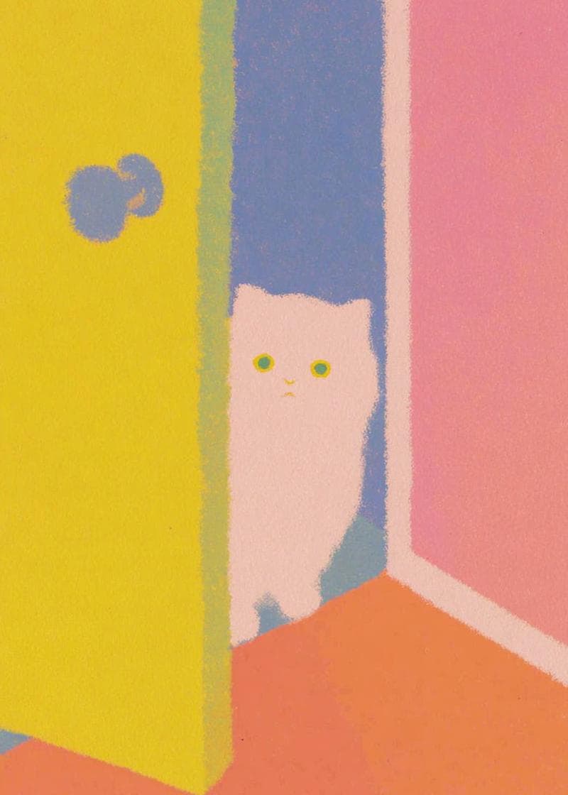white cat near open door card