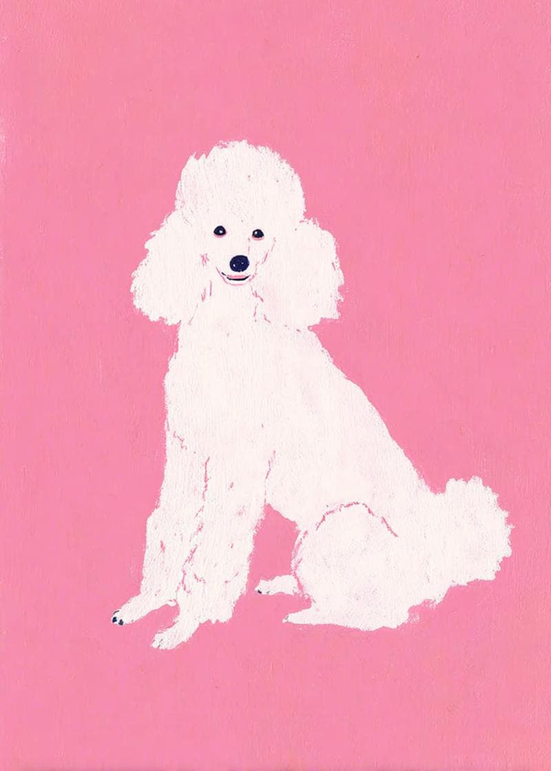 poodle card