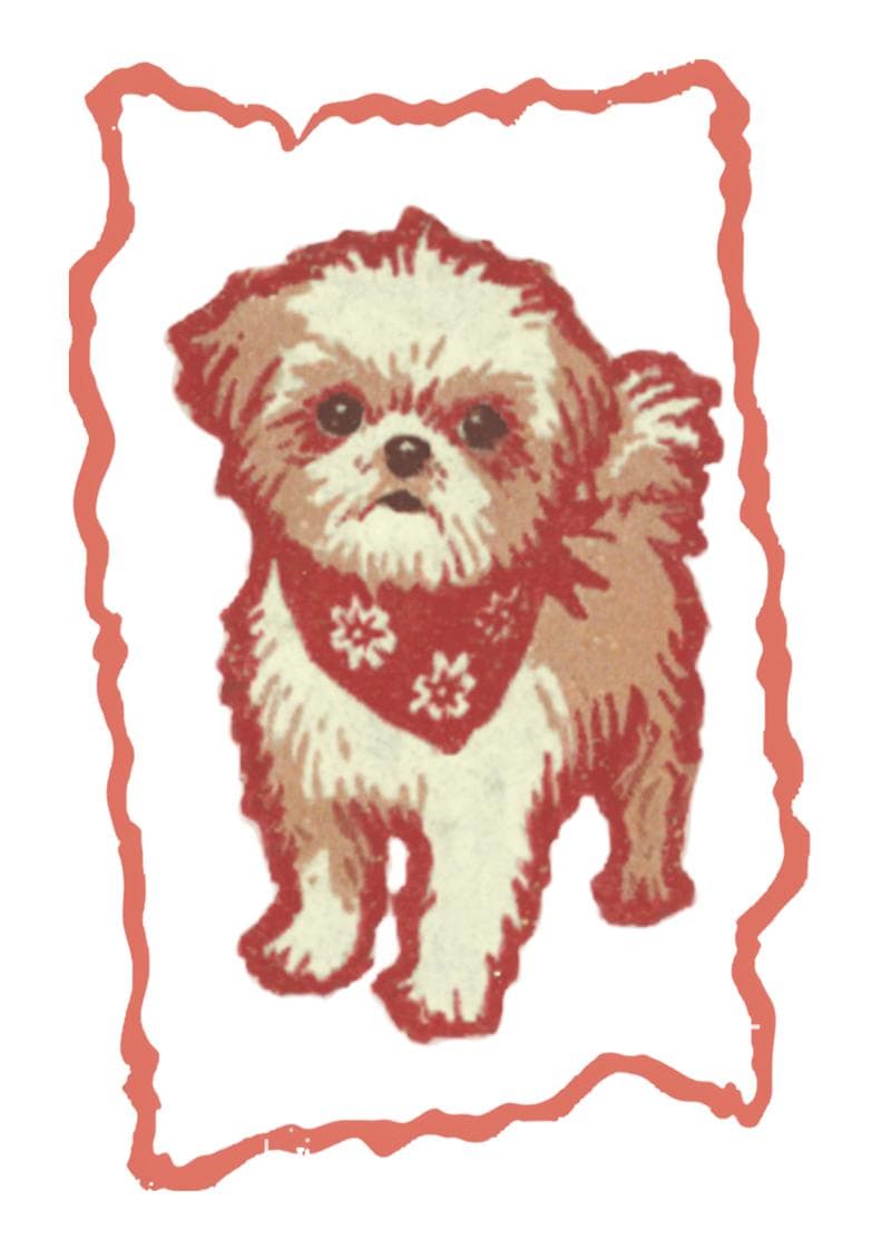 cute dog with a bandana card