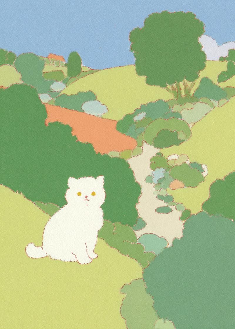 cat in countryside card