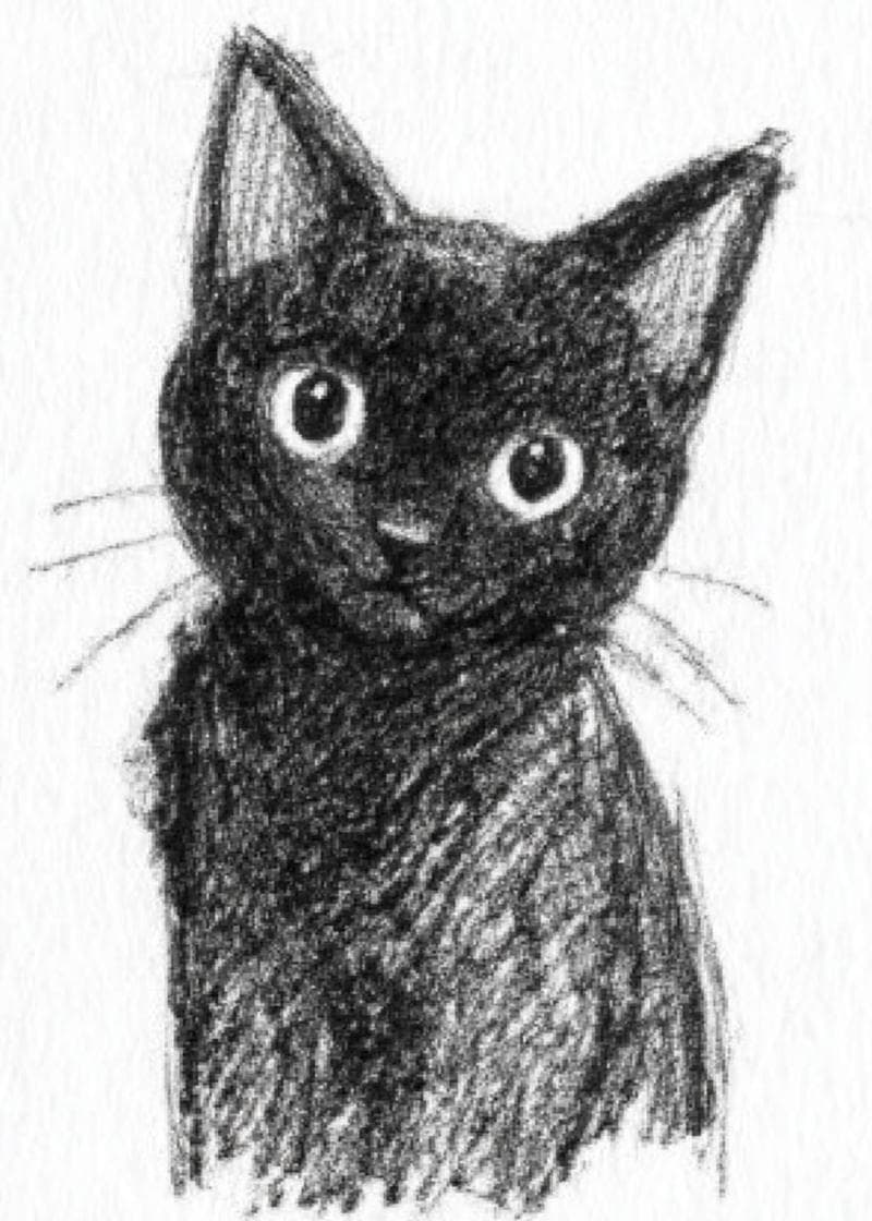 black cat sketch card
