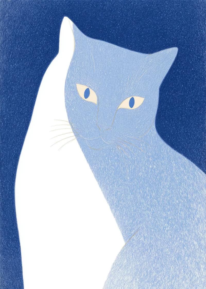 white cat shadow card