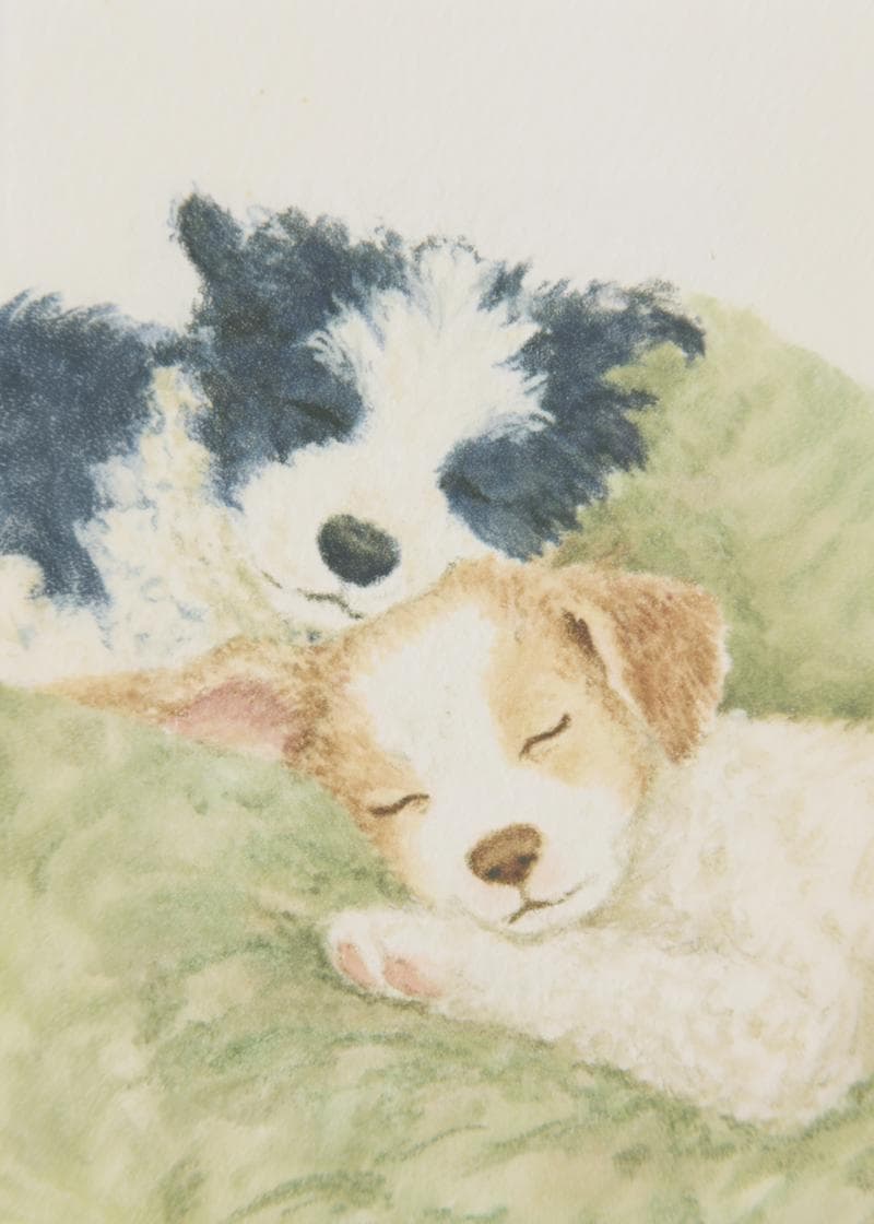 two dogs napping card