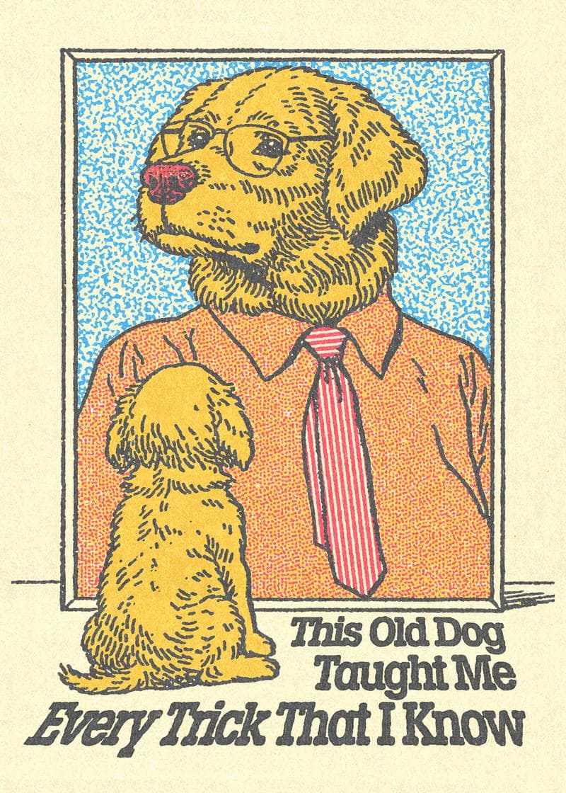 This Old Dog
